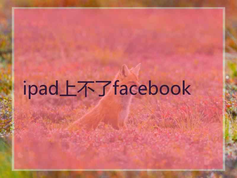 ipad上不了facebook