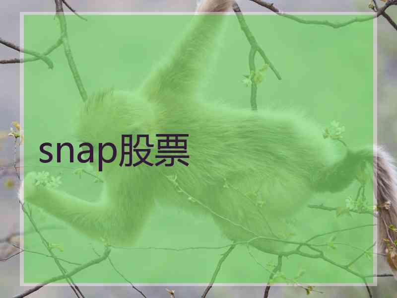 snap股票