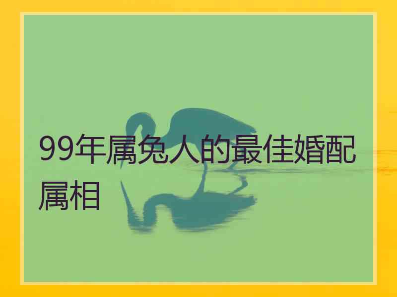 99年属兔人的最佳婚配属相