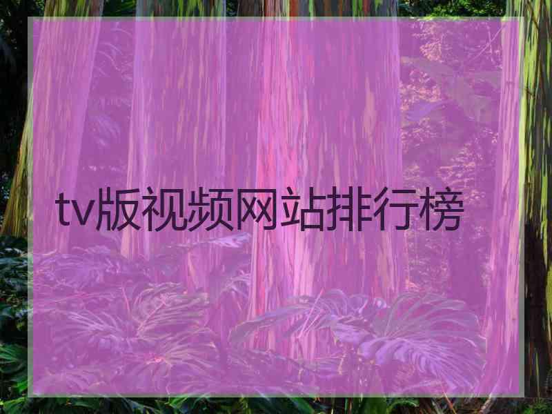 tv版视频网站排行榜