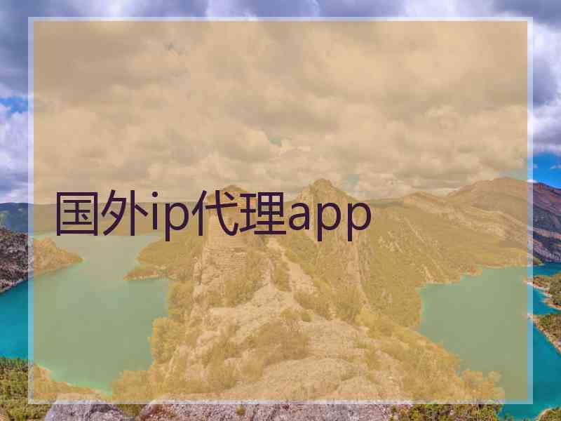 国外ip代理app