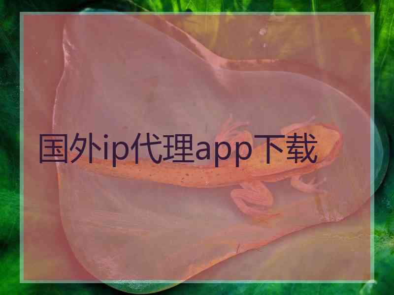 国外ip代理app下载