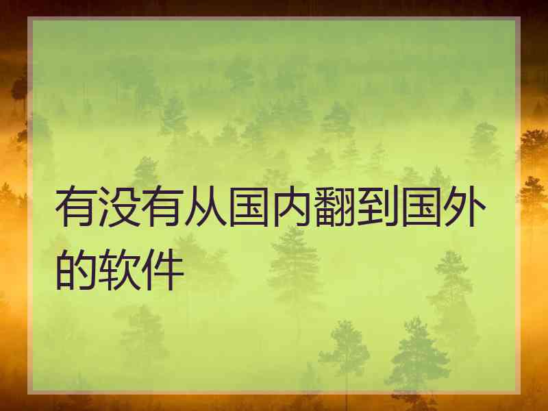 有没有从国内翻到国外的软件