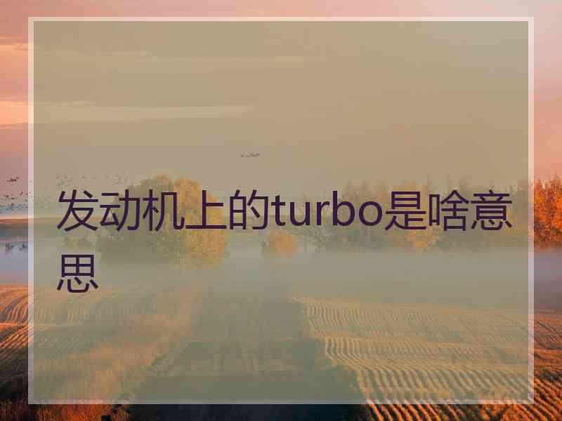 发动机上的turbo是啥意思