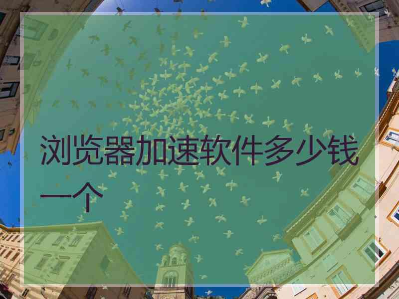 浏览器加速软件多少钱一个