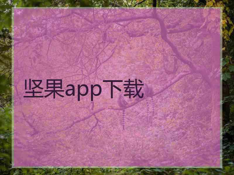 坚果app下载