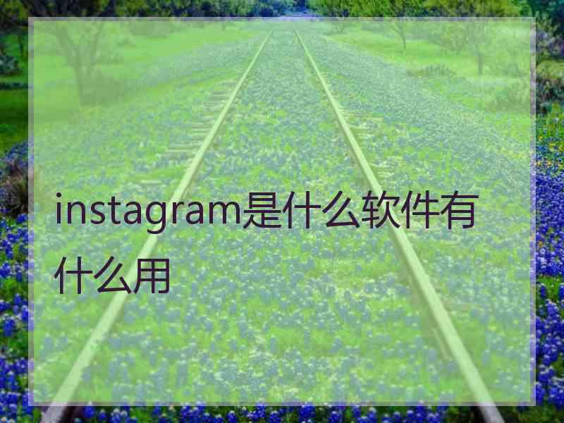 instagram是什么软件有什么用