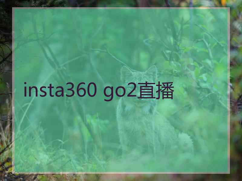 insta360 go2直播