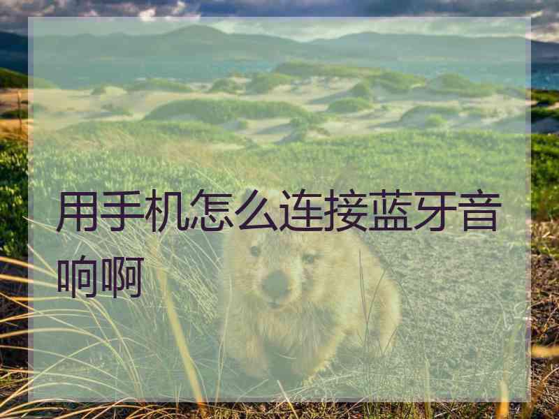 用手机怎么连接蓝牙音响啊