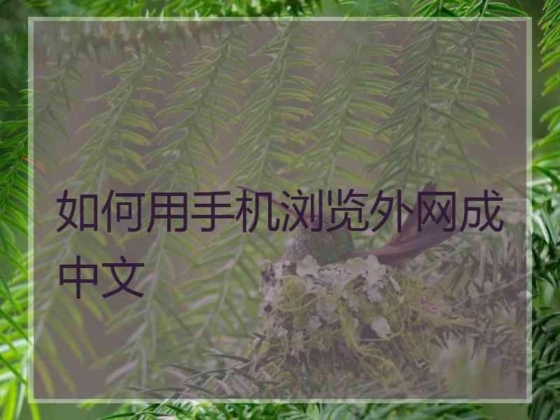 如何用手机浏览外网成中文