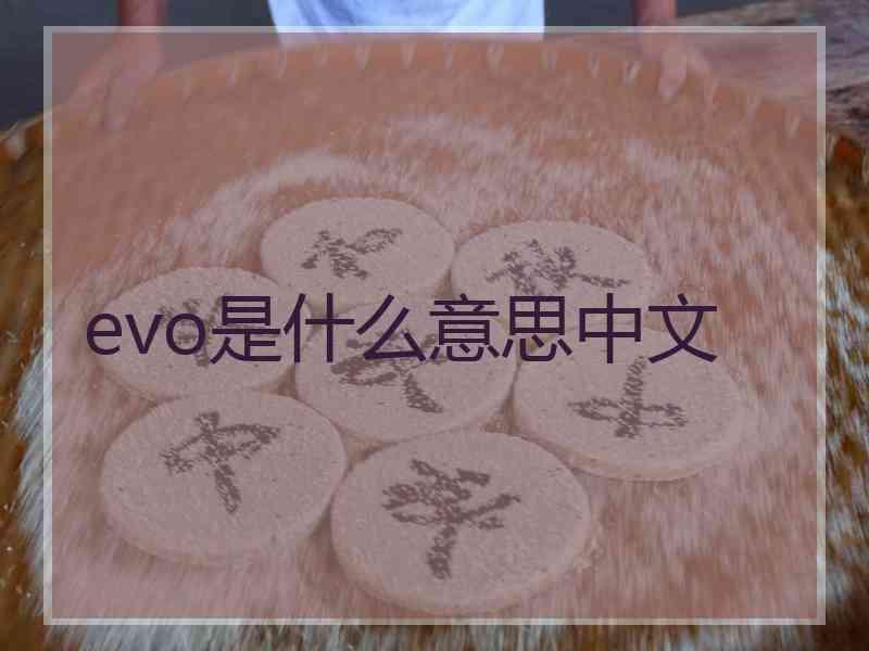 evo是什么意思中文