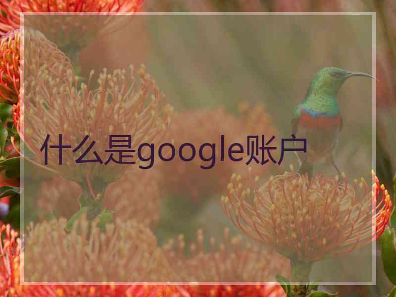 什么是google账户